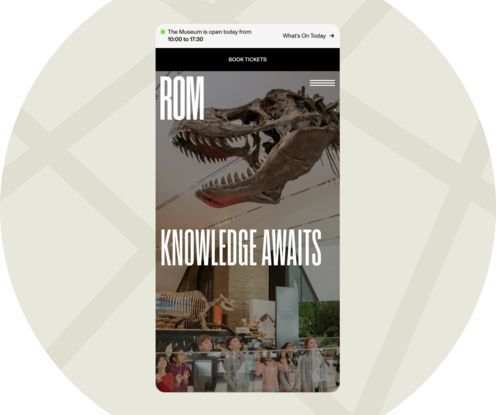 A screenshot of the ROM website homepage